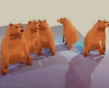 Bear Bears GIF - Bear Bears Dance GIFs