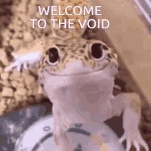 Void Voided GIF - Void Voided Smiling Lizard GIFs