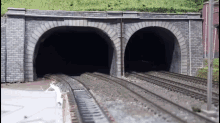 Cat Train Tunnel GIF - Cat Train Tunnel GIFs