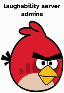 Laughability Angry Birds GIF - Laughability Laugh Angry Birds GIFs