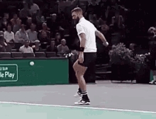 Benoit Paire Tweener GIF - Benoit Paire Tweener Tennis GIFs