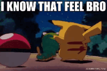 I Know That Feel Bro - Pokemon GIF - GIFs