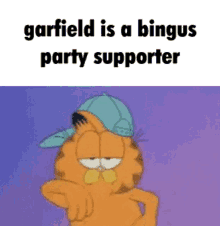 garfield bingus bingus party