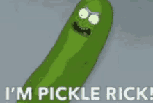 rick and morty pickle this