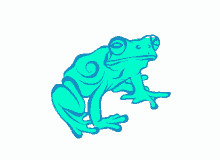 cool frog