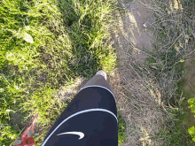 Walking Hiking GIF - Walking Hiking Grass GIFs