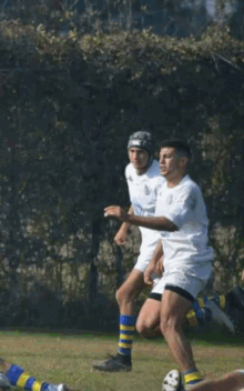 Rugby Tackle GIF - Rugby Tackle Sports GIFs
