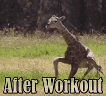 After Workout Leg Day GIF - After Workout Leg Day Wobble GIFs