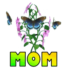 Mom Mommy GIF - Mom Mommy Happy Mothers Day GIFs