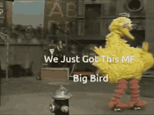 Bigbird4k Bigbirdin4k GIF - Bigbird4k Bigbird Bigbirdin4k GIFs
