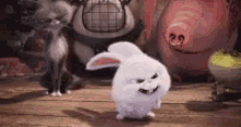 Bunny Poop GIF - Bunny Poop Poo GIFs