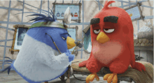 Angry Birds GIF - Angry Birds Doctor GIFs