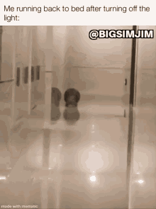 Chonk Running Back To Bed GIF - Chonk Running Back To Bed Dont Let The Monsters Get Me GIFs