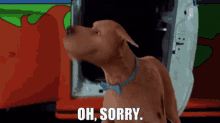 Scooby Doo Oh Sorry GIF - Scooby Doo Oh Sorry Sorry GIFs