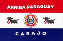 Arriba Paraguay GIF - Arriba Paraguay GIFs