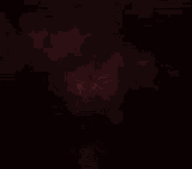 Hyper GIF Hyper Discover & Share GIFs