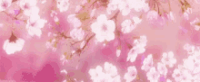 Flowers Cherry Blossoms GIF - Flowers Cherry Blossoms Pretty GIFs