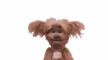 dog puppet laughing