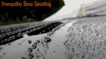 Tbd Tranquility Base Detailing GIF - Tbd Tranquility Base Detailing Beading GIFs