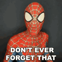 Dont Ever Forget That Spiderman GIF - Dont Ever Forget That Spiderman Cameo GIFs