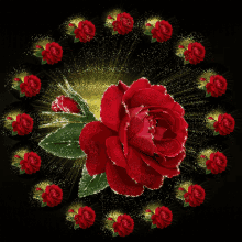 Neked Hoztam Flowers For You GIF - Neked Hoztam Flowers For You Rose GIFs