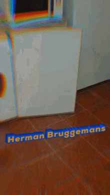 Herman Bruggemans GIF - Herman Bruggemans GIFs