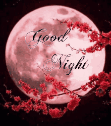 Red Good GIF - Red Good Night GIFs