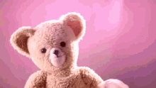 Teddy Bear GIF - Teddy Bear Plush Toy Stuffed Toy GIFs