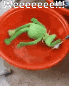 kermit spins around swim water