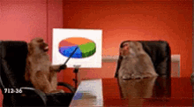 Monkey Business GIF - Monkey Business GIFs