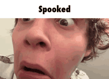 Spooked Scared GIF - Spooked Scared Wichi GIFs