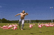 ninja skills pink flamingos kicking kick