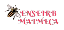enseirb mmk