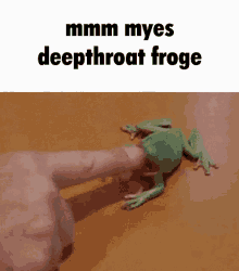 Froge Mmm Myes Deep Throat Froge GIF - Froge Mmm Myes Deep Throat Froge Frog GIFs