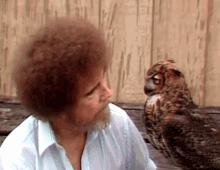 Bob Ross Owl GIF - Bob Ross Owl Painter GIFs