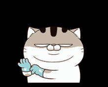 Ami Fat Cat Fgcat GIF - Ami Fat Cat Fgcat Gloves GIFs