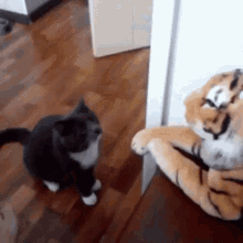 Cat Angry GIF - Cat Angry Tiger Stuffed Toy GIFs