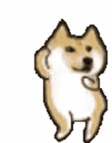 dance doge