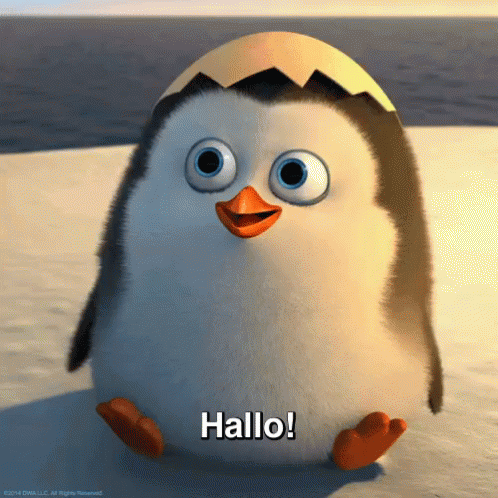penguin-hallo.gif