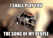spider drums song jumping spider spider drums song jumping spider