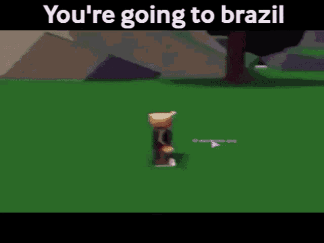 You Are Going To Brazil,roblox,kidnap,deported,Trump,gif,animated gif,gifs,meme...