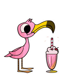 cooling flamingo