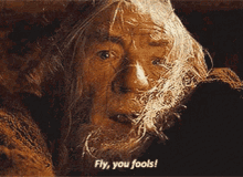 Gandalf Lord Of The Rings GIF - Gandalf Lord Of The Rings Fly GIFs