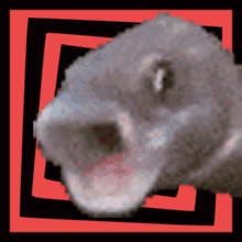 Pog Fish Screaming GIF - Pog Fish Screaming Omg GIFs