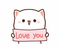 love ilu cat hearts mochi