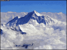 Cat Fly GIF - Cat Fly Mountain GIFs