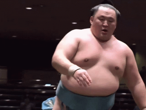 sumo-sumo-wrestler.gif