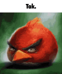Tak Angry Birds Angrybirds GIF - Tak Angry Birds Tak Angrybirds GIFs