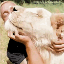 Scratching Chin Dean Schneider GIF - Scratching Chin Dean Schneider Animal Lover GIFs