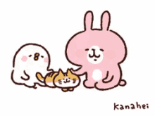 kanahei pet cat rabbit chicken